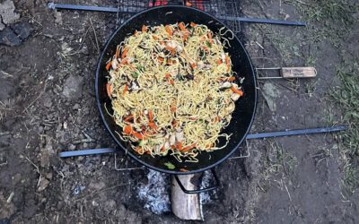 Nouilles sautées au poulet sauce soja