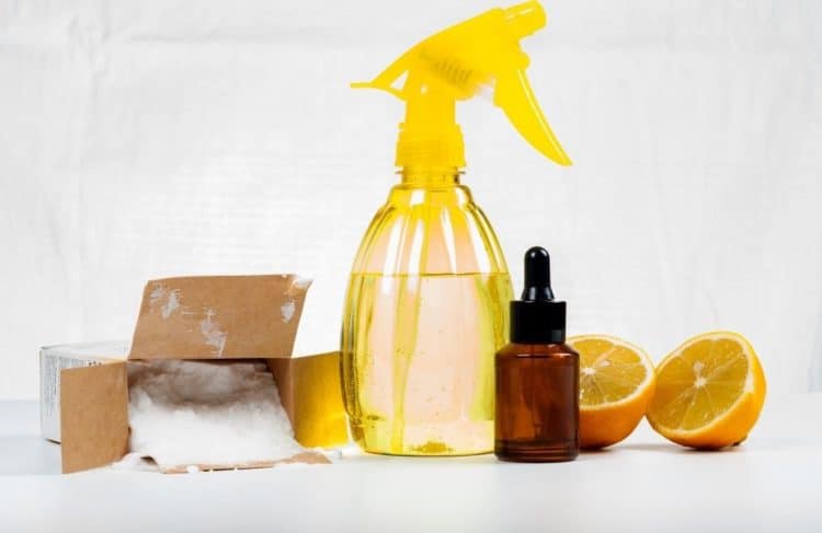 Fabriquer ses produits d'entretien en camp