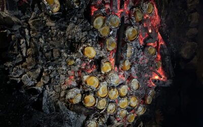 Orange farcie au œufs et lard au feu de bois
